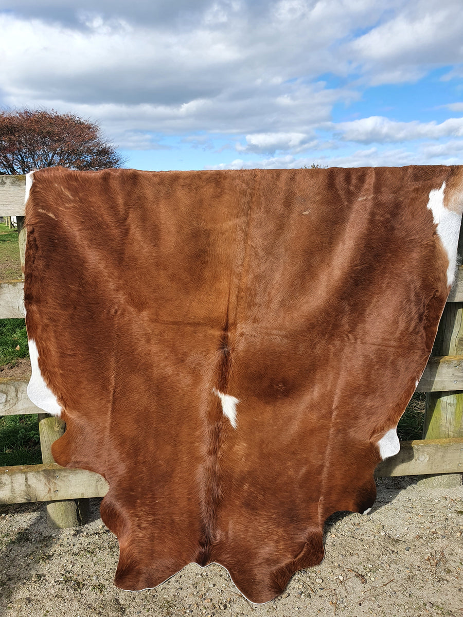 Natural Brazilian Cowhide - Mocha & Ivory – Country Habitat