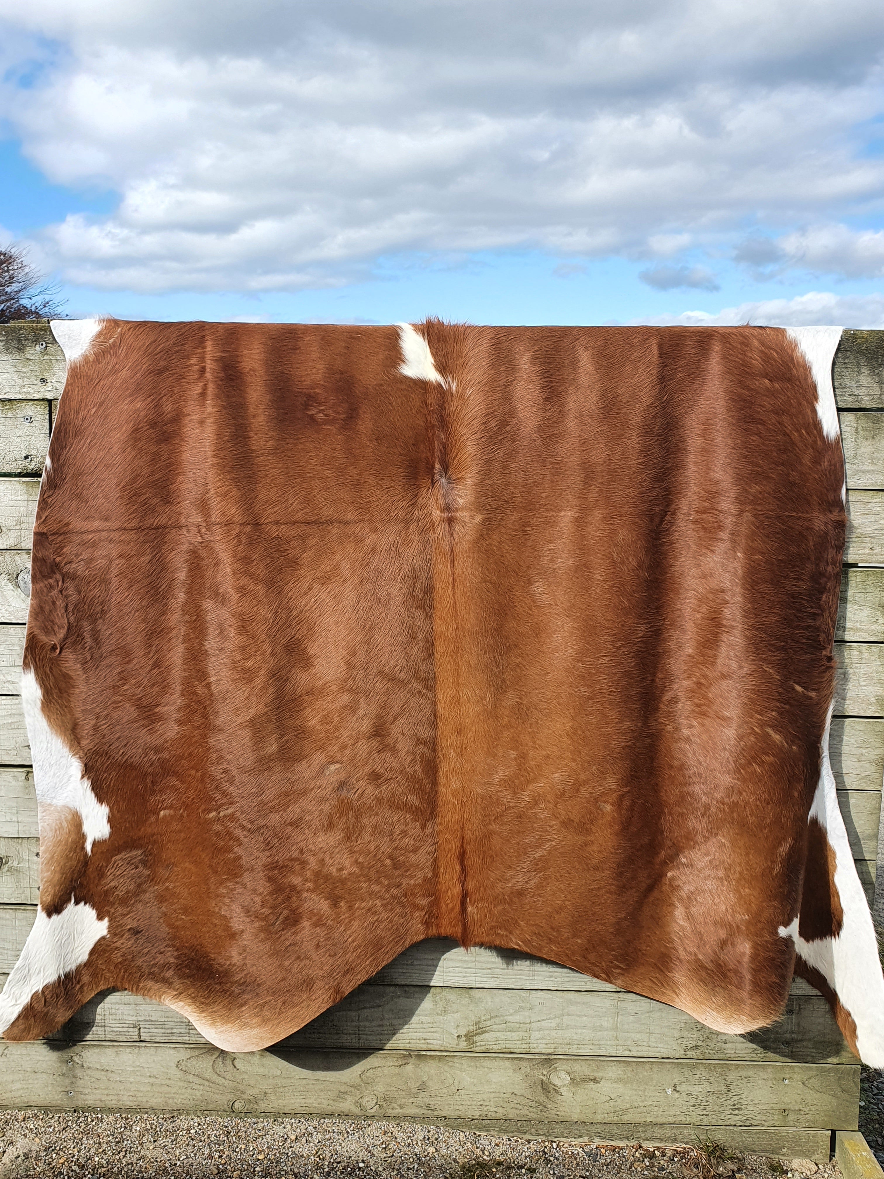 Natural Brazilian Cowhide - Mocha & Ivory