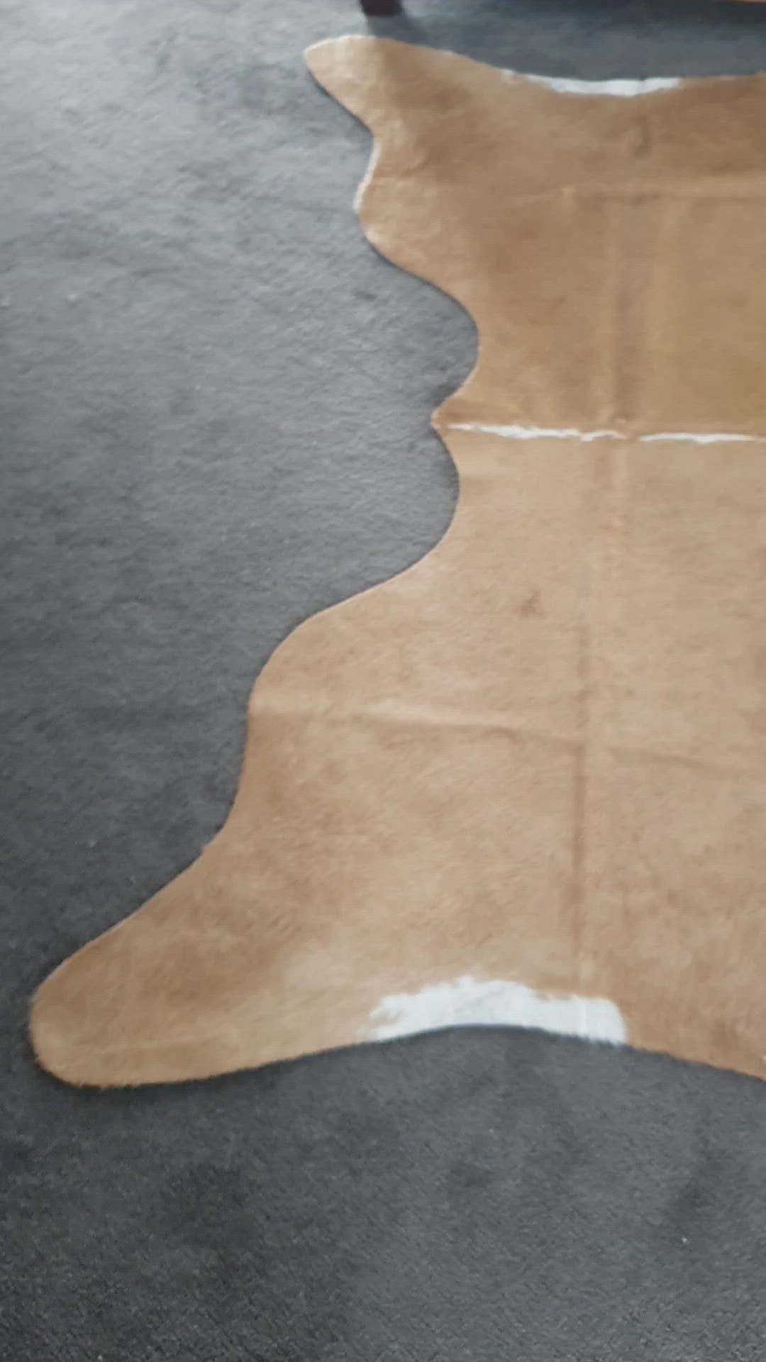 Natural Brazilian Cowhide - Caramel & Ivory