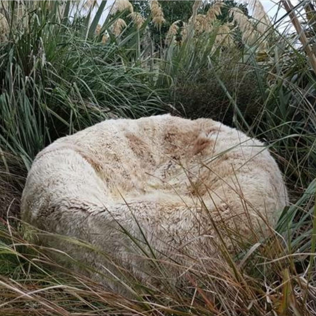 SALE!!! New Zealand Longwool Sheepskin Bean Bag (Filled)