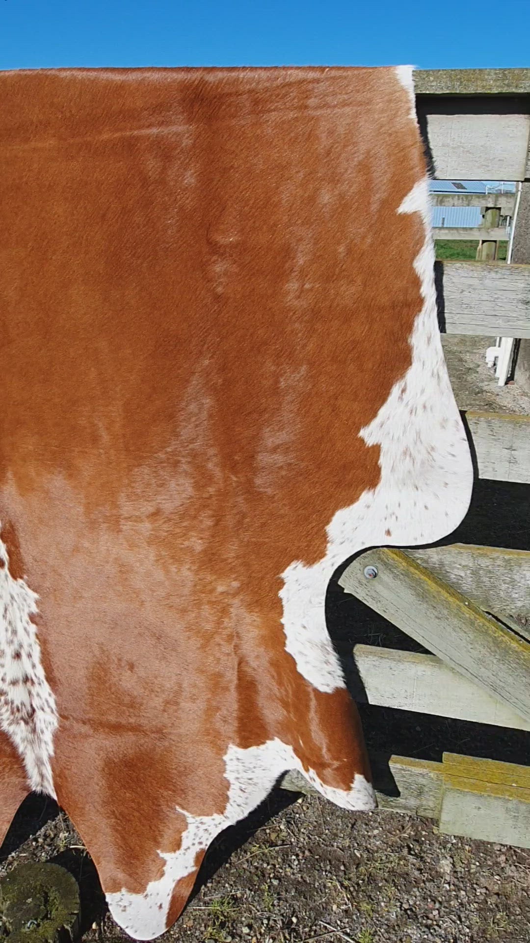 Natural Brazilian Cowhide - Mocha & Ivory